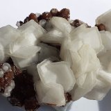 Calcite, Siderite, Goethite
5 x 3,5 cm
(Autor: Volkmar Stingl)