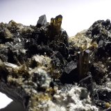 Epidote, Augite
3,5 x 3 cm
(Autor: Volkmar Stingl)