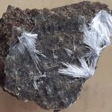 Artinite
1,5 x 1 cm
(Autor: Volkmar Stingl)