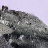 Apatite, Actinolite (variety byssolite), Epidote
6,5 x 3 cm
(Autor: Volkmar Stingl)
