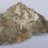Calcite, Baryte
6 x 5,5 cm
(Autor: Volkmar Stingl)