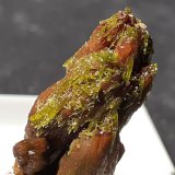 Descloizite, Pyromorphite
2,5 x 1 cm
(Autor: Volkmar Stingl)