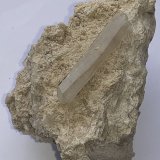 Celestine
6 x 4,5 cm
(Autor: Volkmar Stingl)