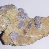 Creedite
6,5 x 4,5 cm
(Autor: Volkmar Stingl)