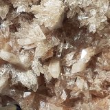Creedite
7 x 5 cm
(Autor: Volkmar Stingl)