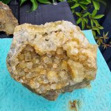 Fluorite
200 mm
(Autor: Forrestblyth)