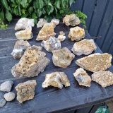 Fluorite
150 mm specimens
(Autor: Forrestblyth)