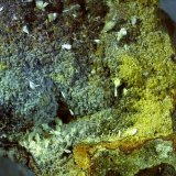 Ferrierite-Mg
2,5 x 1,5 cm
(Autor: Volkmar Stingl)