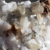 Albite, Calcite, Siderite
12 x 9 cm
(Autor: Volkmar Stingl)