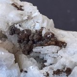 Zanazziite, Albite
3,5 x 2,5 cm
(Autor: Volkmar Stingl)