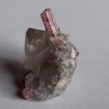 Elbaite (variety Rubellite), Quartz
2 x 2 cm
(Autor: Volkmar Stingl)