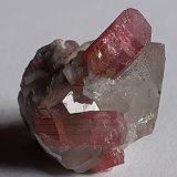 Elbaite (variety Rubellite), Quartz
2 x 2 cm
(Autor: Volkmar Stingl)