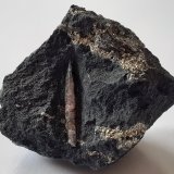 Corundum, Pyrite
3 x 3 cm
(Autor: Volkmar Stingl)