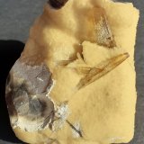 Baryte, Calcite
5 x 5 cm
(Autor: Volkmar Stingl)
