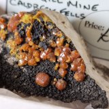 Mimetite (variety campylite)
60 mm matrix with 5 mm crystals
(Autor: Forrestblyth)