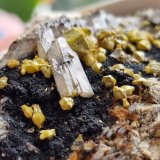 Mimetite (variety campylite) and Baryte
5mm crystals  campylite 10mm baryte
(Autor: Forrestblyth)