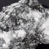 Canavesite, Dypingite
4,5 x 3,5 cm
(Autor: Volkmar Stingl)