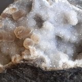 10 x 7 cm
(Autor: Volkmar Stingl)