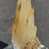 Aragonite
3 x 1,5 cm
(Autor: Volkmar Stingl)