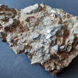 Arsenopyrite
11 x 8,5 cm
(Autor: Volkmar Stingl)
