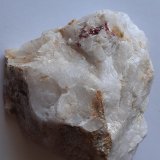 Cinnabar
9,5 x 9 cm
(Autor: Volkmar Stingl)