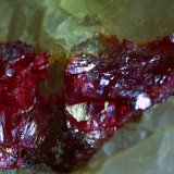 Cinnabar
9,5 x 9 cm
(Autor: Volkmar Stingl)