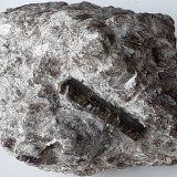 Dravite
5 x 3,5 cm
(Autor: Volkmar Stingl)