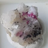 Erythrite, Quartz
1,5 x 1,5 cm
(Autor: Volkmar Stingl)