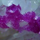 Erythrite, Quartz
1,5 x 1,5 cm
(Autor: Volkmar Stingl)