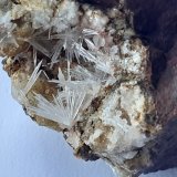 Aragonite, Magnesite, Quartz
FoV ca. 2 x 1,5 cm
(Autor: Volkmar Stingl)