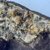 Aragonite, Magnesite
FoV ca. 3 x 2 cm
(Autor: Volkmar Stingl)
