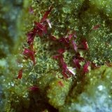 Erythrite, Quartz, Calcite
5,5 x 4 cm
(Autor: Volkmar Stingl)