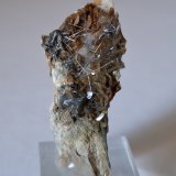Boulangerite, Siderite
3.5 x 1.5 cm
(Autor: Volkmar Stingl)
