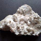 Aragonite (variety flos ferri)
8 x 7,5 cm
(Autor: Volkmar Stingl)