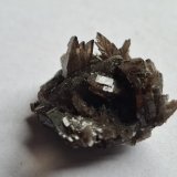 Axinite-(Mn)
2,5 x 2,3 cm
(Autor: Volkmar Stingl)