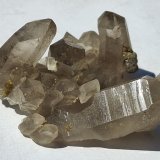 Bertrandite, Quartz (variety smokey quartz)
5,5 x 4 cm
(Autor: Volkmar Stingl)