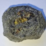 Amber
3,5 x 3 cm
(Autor: Volkmar Stingl)