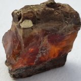 amber
1 x 1 cm
(Autor: Volkmar Stingl)