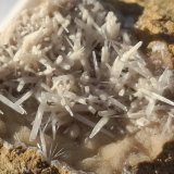 Aragonite
2,5 x 2,5 cm
(Autor: Volkmar Stingl)