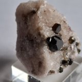 Fluor-Uvite, Magnesite
3,5 x 2,5 cm
(Autor: Volkmar Stingl)