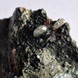 Fluorapatite, Grossular, Chlorite (Group)
4,5 x 3 cm
(Autor: Volkmar Stingl)