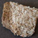 Aragonite
6,5 x 5,5 cm
(Autor: Volkmar Stingl)