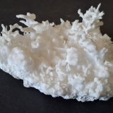 Aragonite (variety flos ferri)
9,5 x 6 cm
(Autor: Volkmar Stingl)