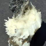 Aragonite (variety Flos Ferri)
Pfunds, Landeck District, Tyrol/Tirol, Austria
6 x 4 cm
(Autor: Volkmar Stingl)