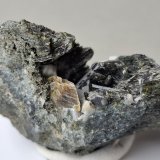 Actinolite (variety Uralite), Titanite
Toal d'Alochet, Moena, Trento Province, Trentino-Alto Adige (Trentino-Südtirol), Italy
4 x 3,5 cm
(Autor: Volkmar Stingl)