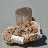Apatite-(F)
Zona Imilchil, Anti-Atlas, Provincia Er Rachidia, Región Drâa-Tafilalet, Marruecos
3 x 2,8 cm
(Autor: Volkmar Stingl)