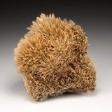 Gypsum
7.0cm x 6.0cm
(Autor: rweaver)
