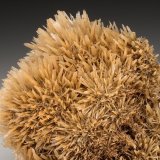 Gypsum
7.0cm x 6.0cm
(Autor: rweaver)