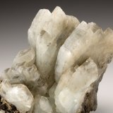 Baryte
8.0cm x 7.0cm
(Autor: rweaver)