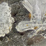 Phillipsite-K
FOV = 2.3 mm
(Autor: Doug)